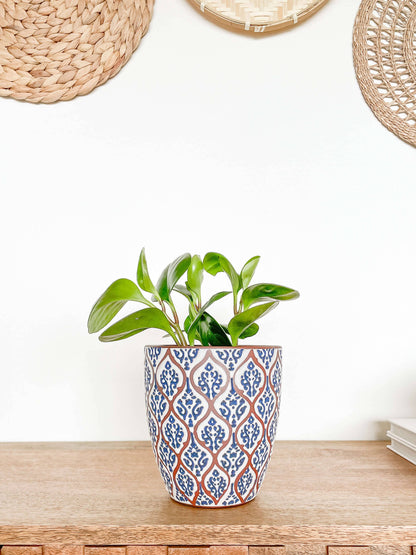 Amara Ceramic Planter Pot, Unique Pattern Plant Pots