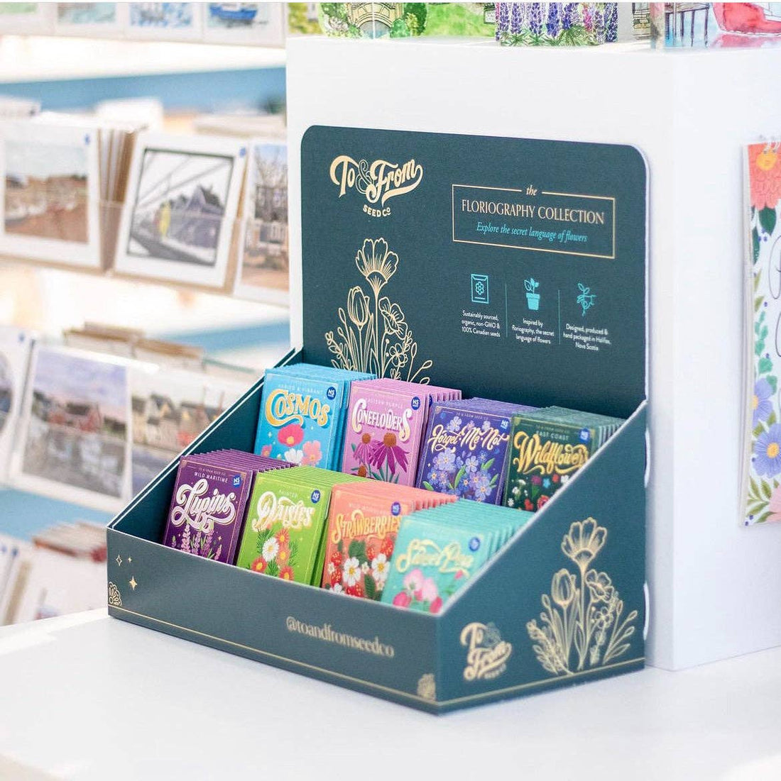 Seed Packet Countertop Retail Display (EMPTY)