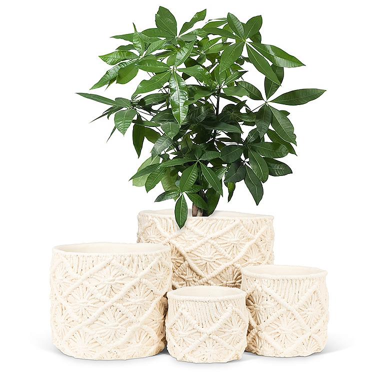 Macrame Style Planter-5&quot;D
