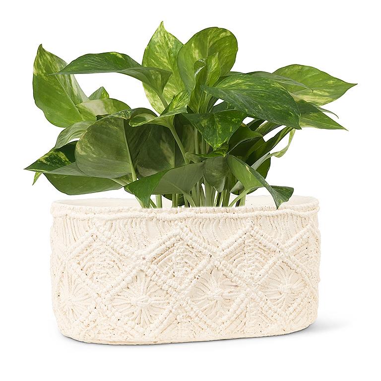 Macrame Style Oval Planter-6x10.5&quot;L