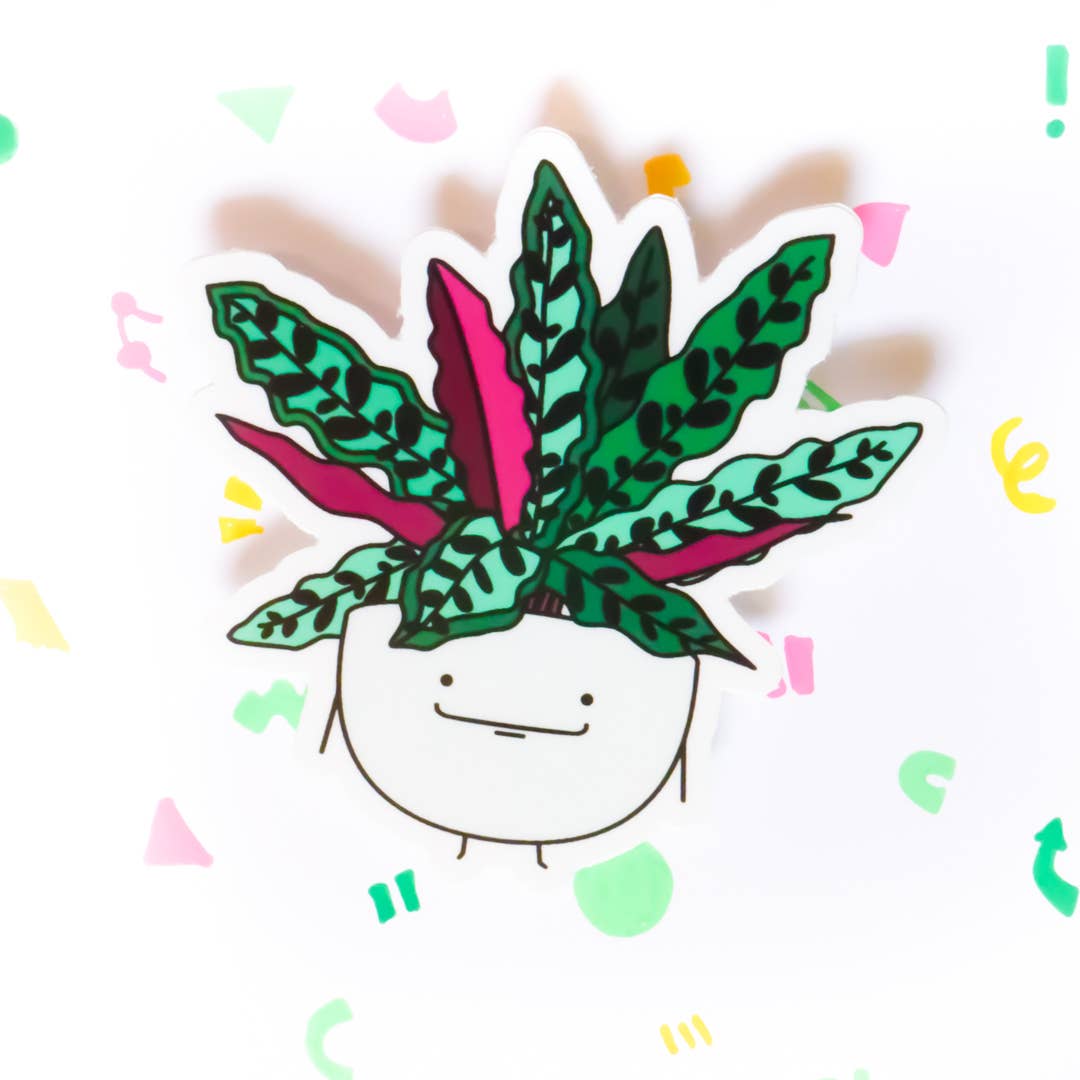 Calathea Rattlesnake Plant Vinyl Sticker