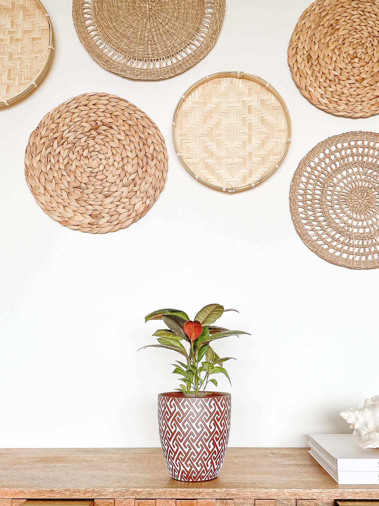 Lana Ceramic Plant Pot, Unique Pattern Planters Pots