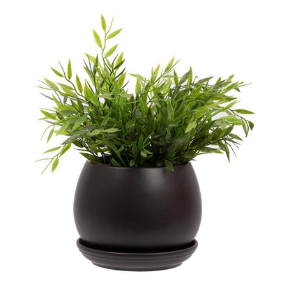 Truu Design Matte Ceramic Planter 6"D: White