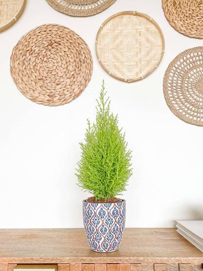 Amara Ceramic Planter Pot, Unique Pattern Plant Pots