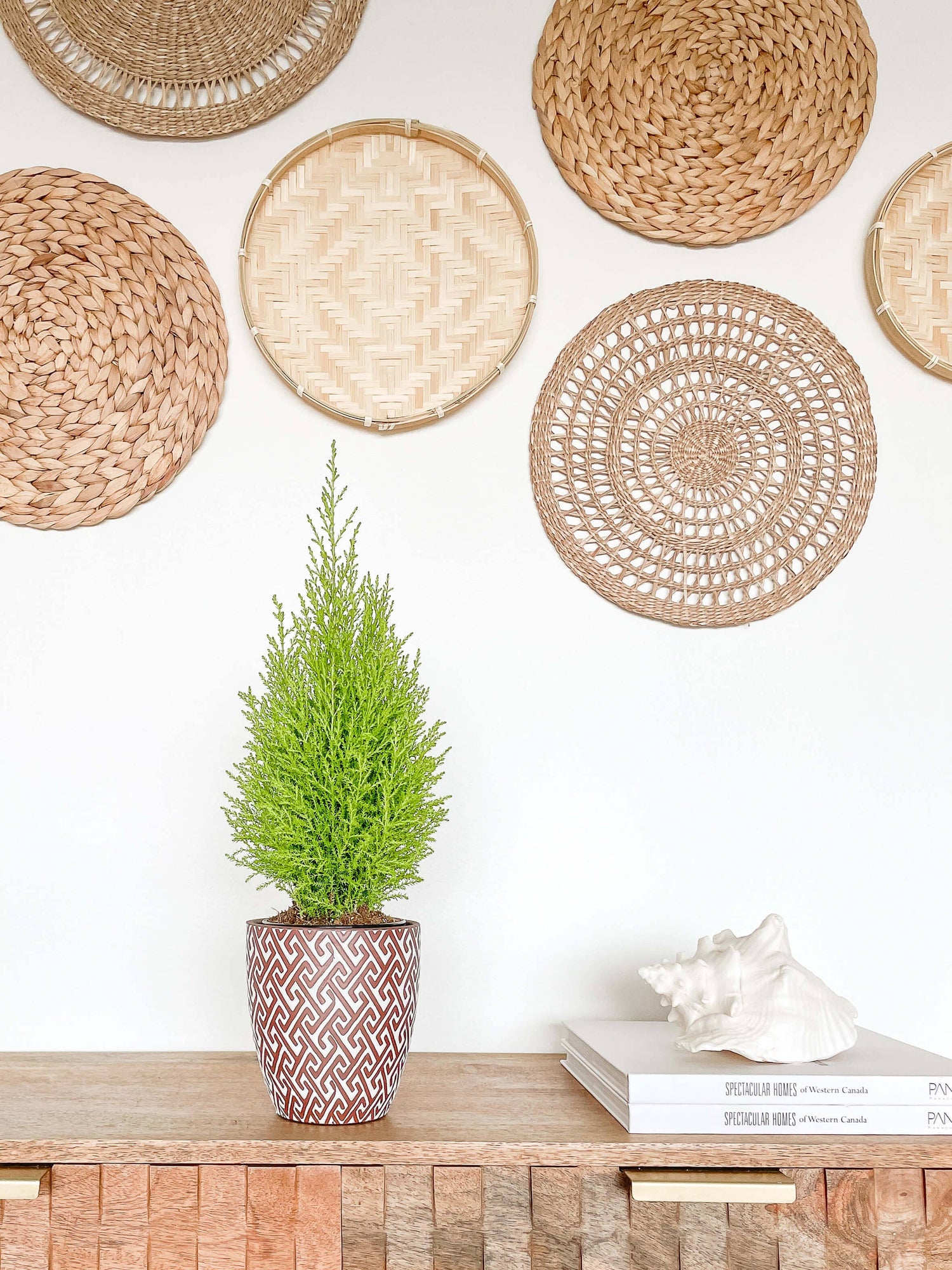 Lana Ceramic Plant Pot, Unique Pattern Planters Pots