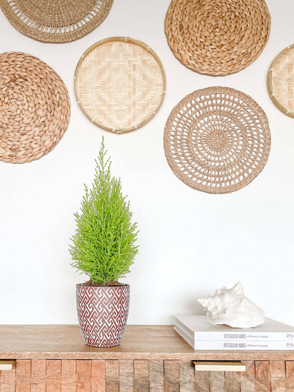 Lana Ceramic Plant Pot, Unique Pattern Planters Pots