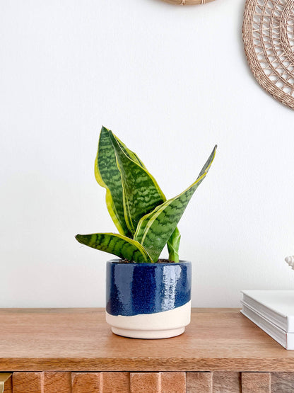Azura Ceramic Planter Pots, Glossy Blue Color Planters: Medium 5&quot;