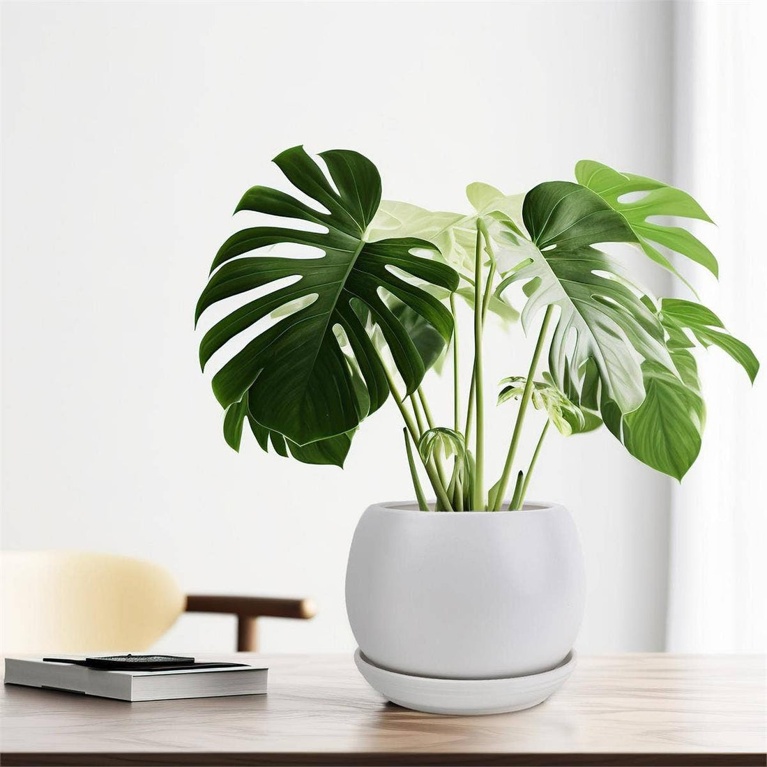 Truu Design Matte Ceramic Planter 6"D: White