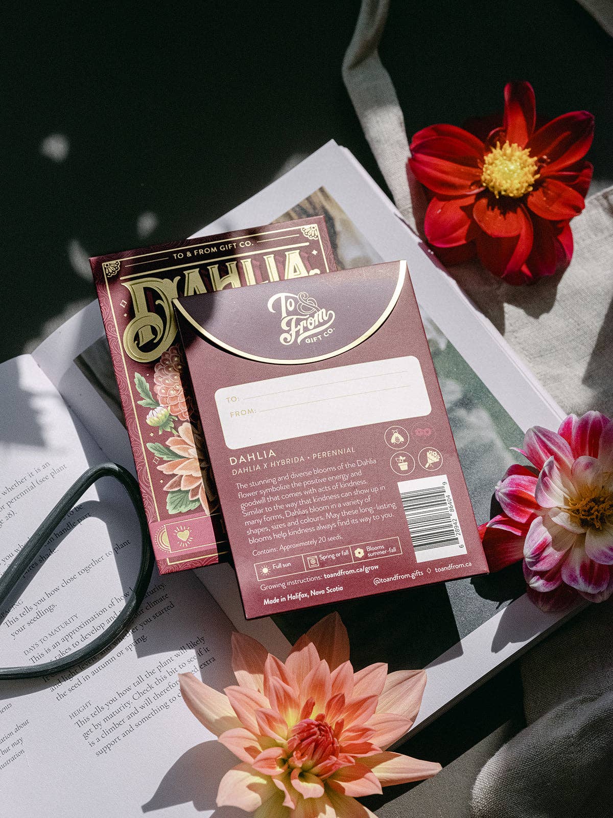 Seed Packet - Dahlia Flowers (Kindness) - Gold Foil