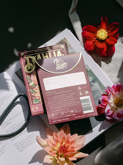 Seed Packet - Dahlia Flowers (Kindness) - Gold Foil