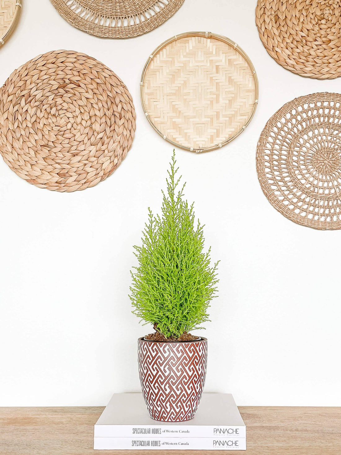 Lana Ceramic Plant Pot, Unique Pattern Planters Pots