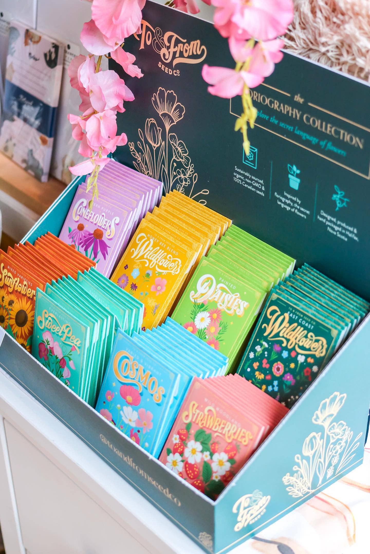 Seed Packet Countertop Retail Display (EMPTY)