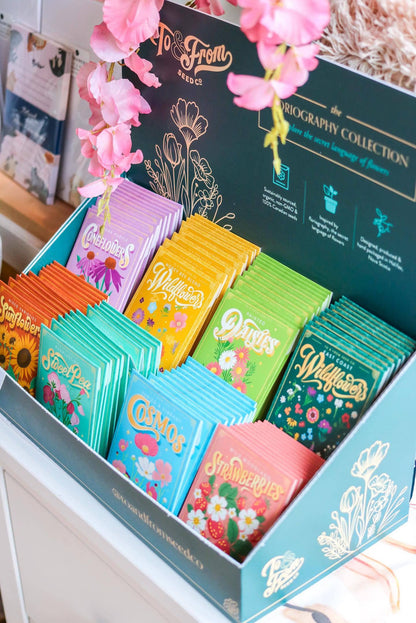 Seed Packet Countertop Retail Display (EMPTY)