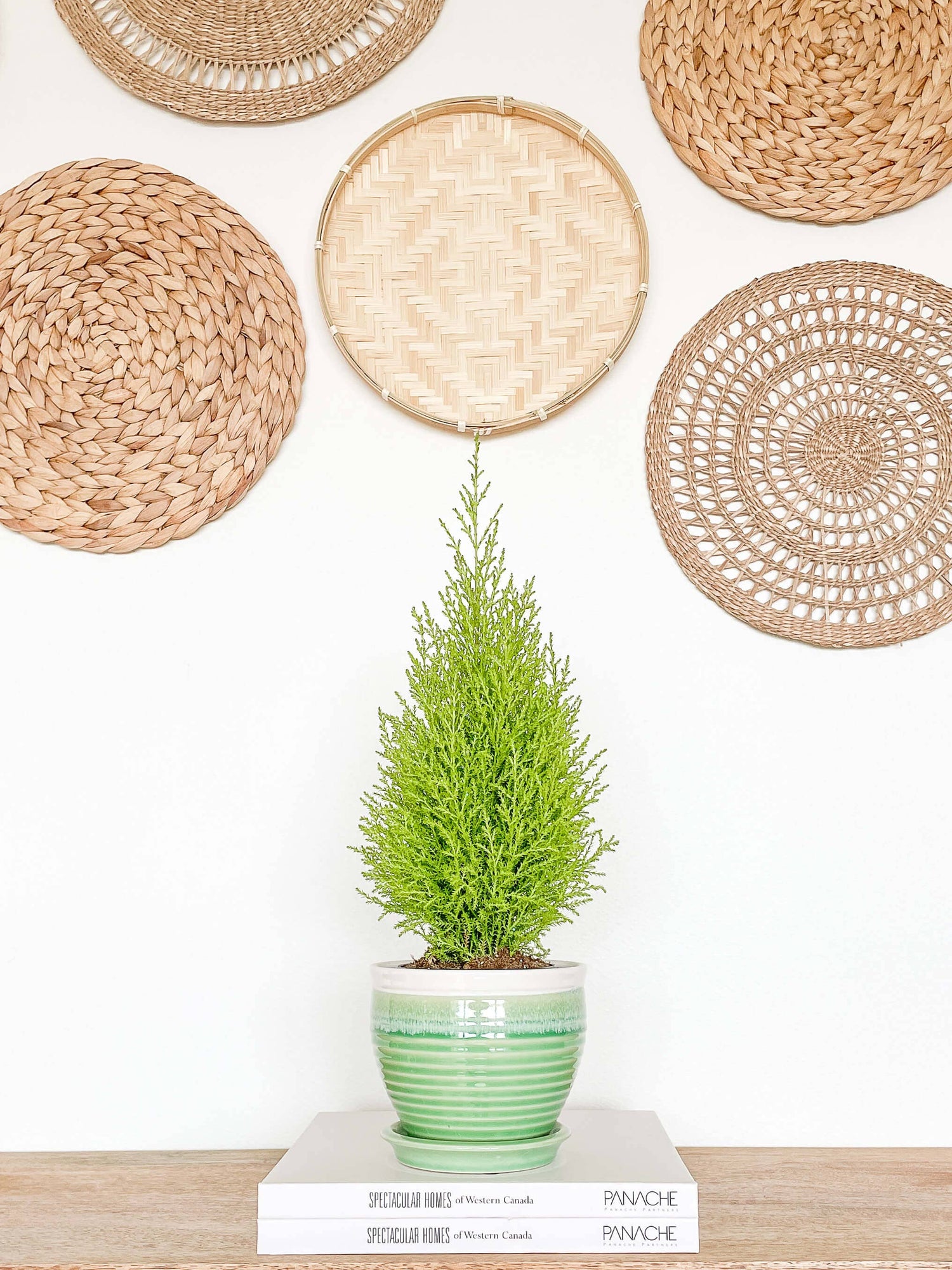Willow Ceramic Planter Pot, Drainage Hole &amp; Attached Saucer