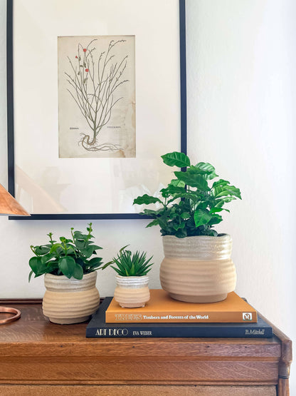 Marisol Planter – Speckled Ceramic Pot with Drainage: Small 3.25&quot;