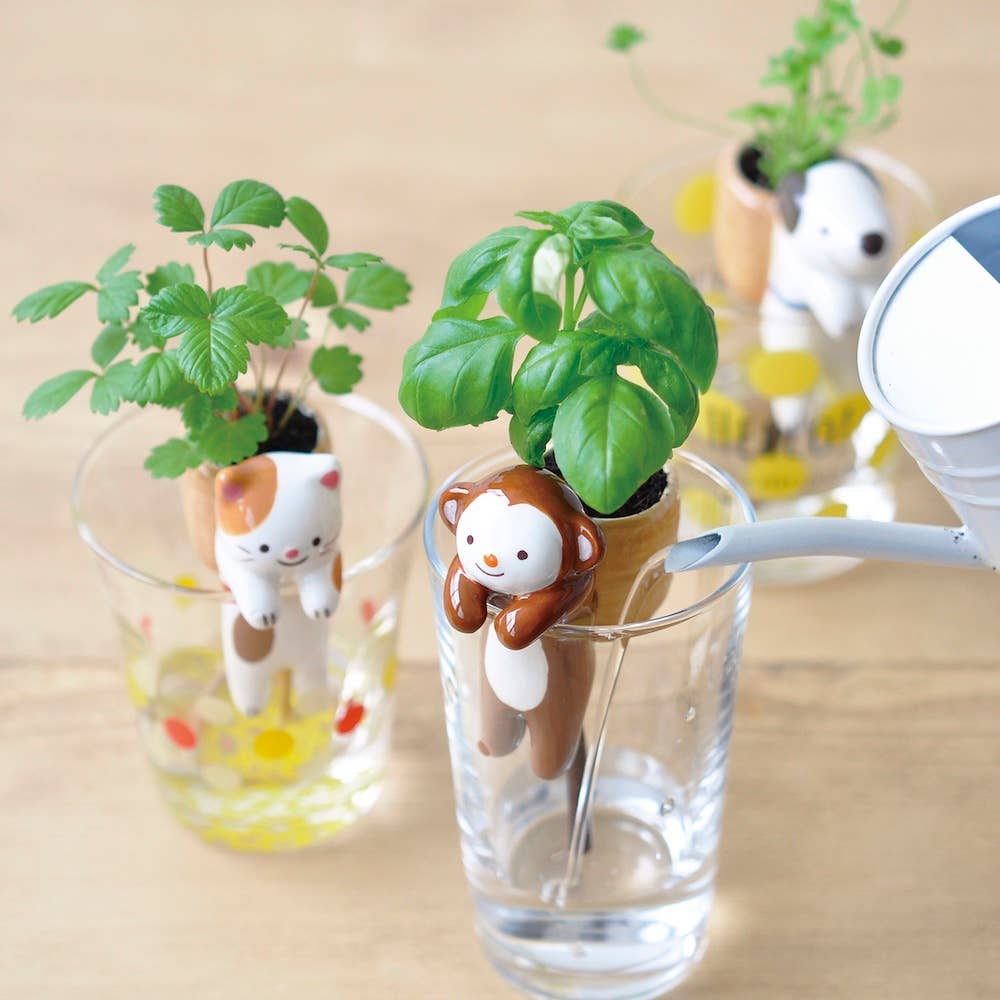 Shippon - Assorted 3 Colors/Styles