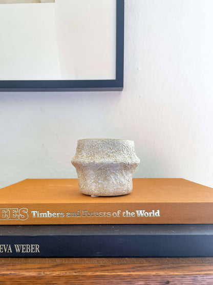 Solene Planter – Textured Ceramic Pot with Drainage: Medium 5.25&quot;