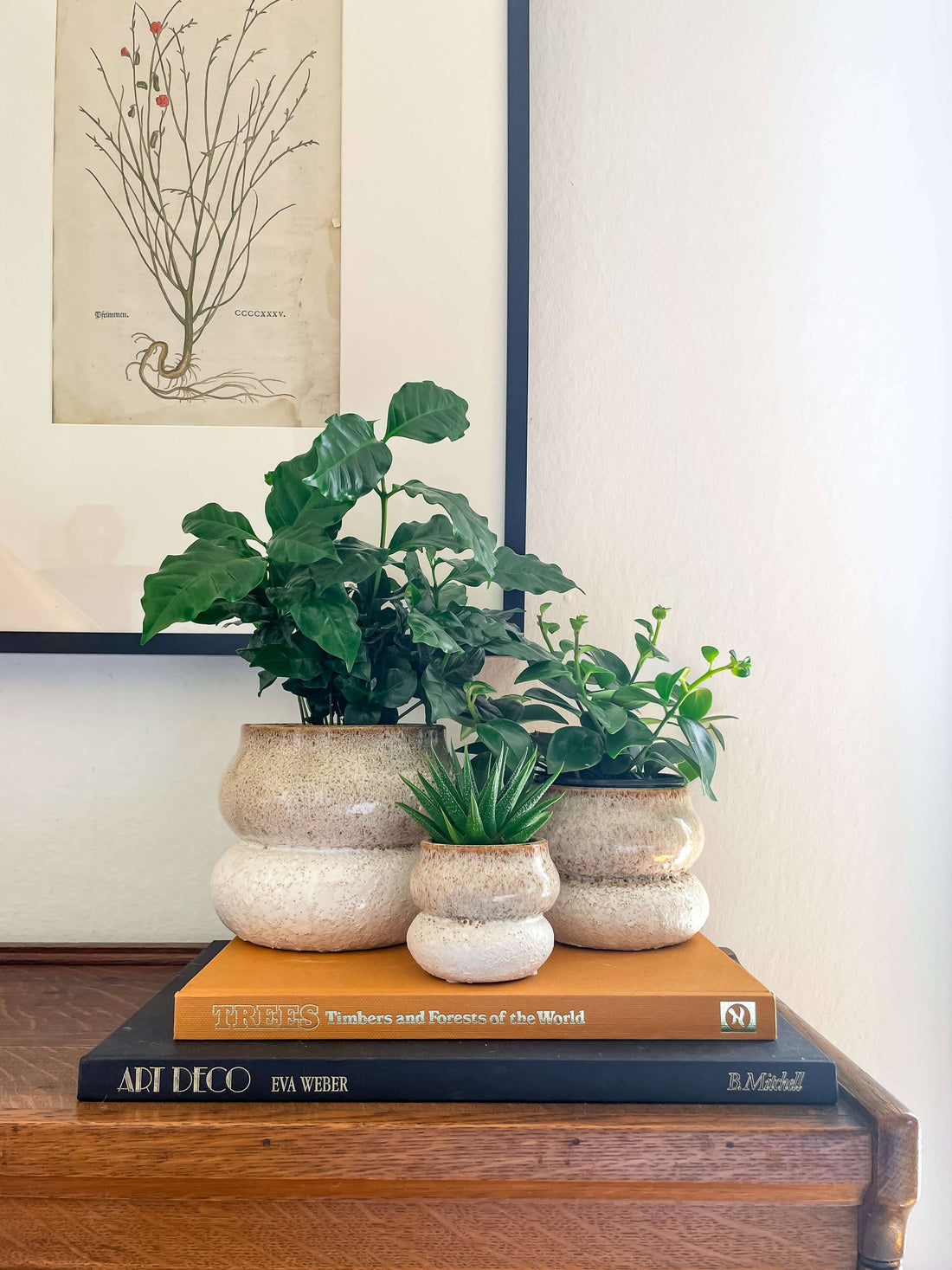 Noemi Planter – Stacked Ceramic Pot with Drainage: Medium 5&quot;