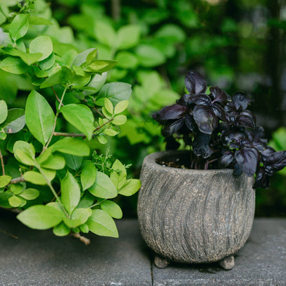 Cement Flower Pot, Small