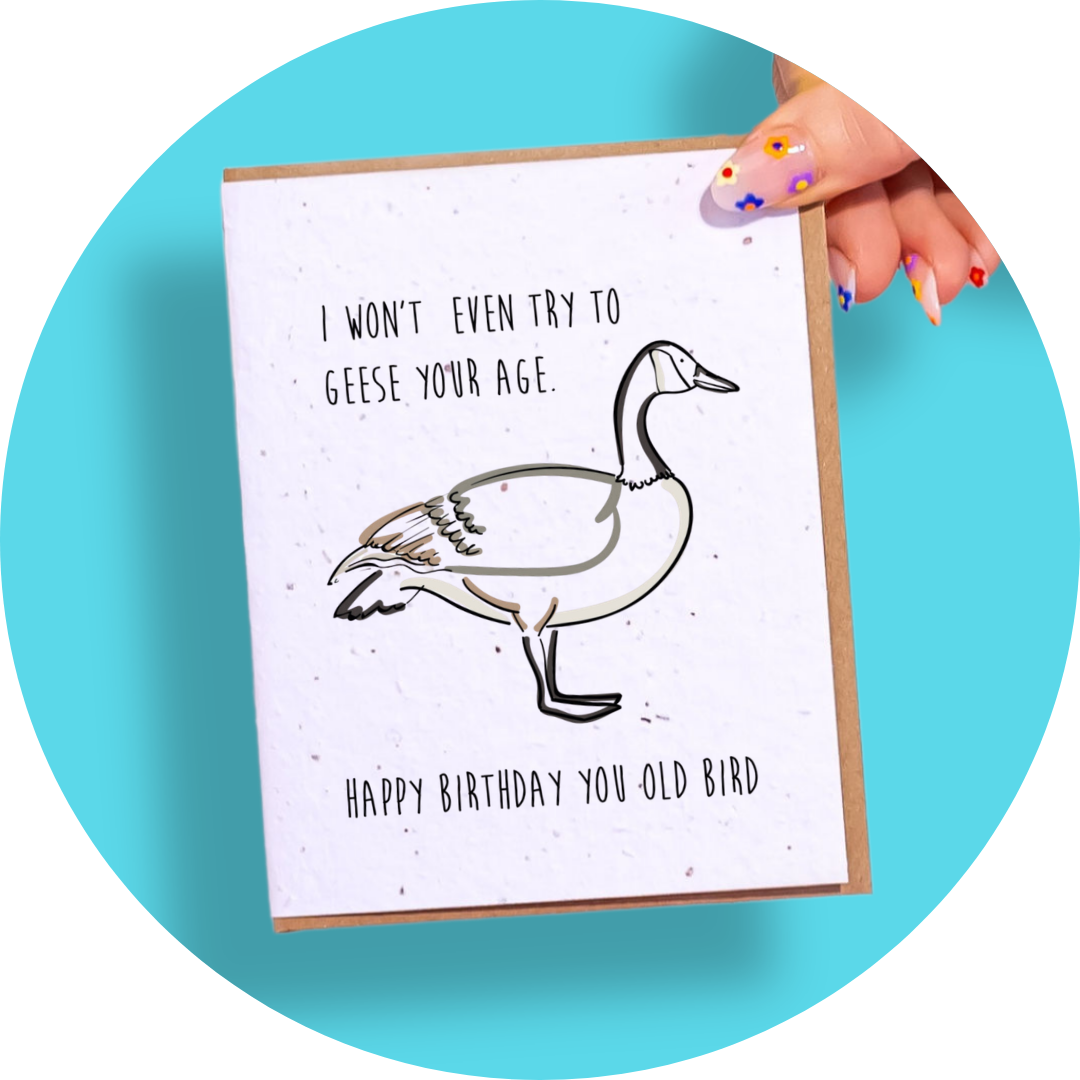 Geese Your Age: Mini