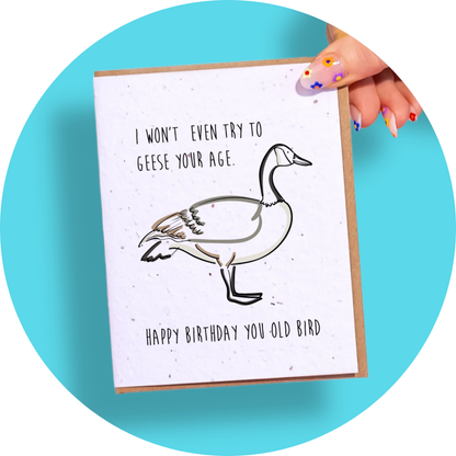 Geese Your Age: Mini