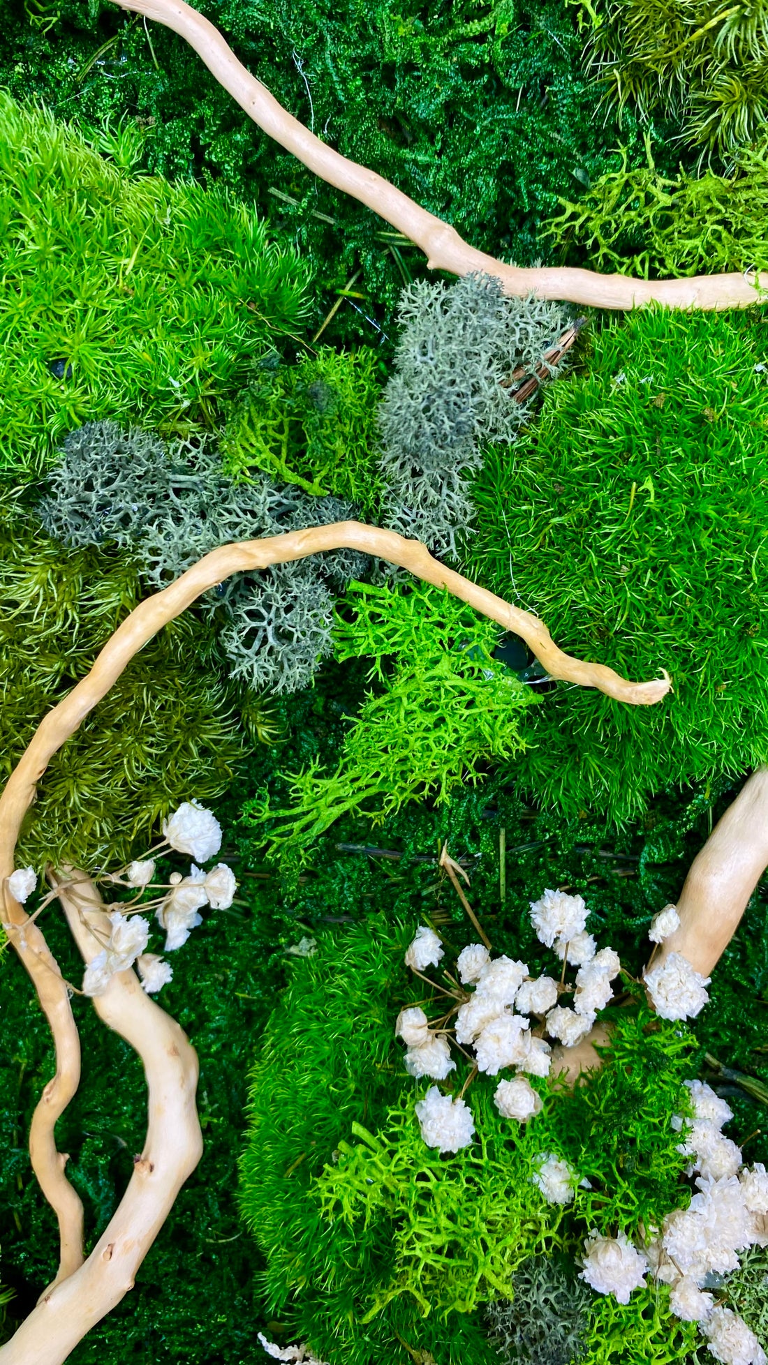 Moss Art Frames (A2)