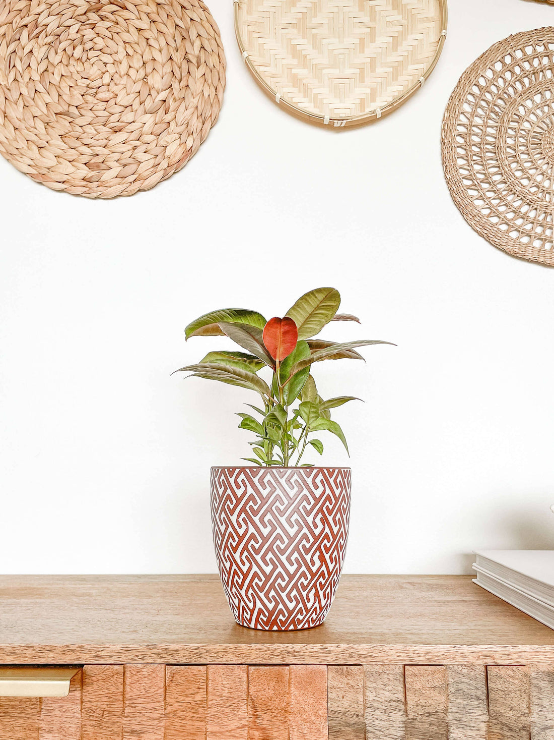 Lana Ceramic Plant Pot, Unique Pattern Planters Pots