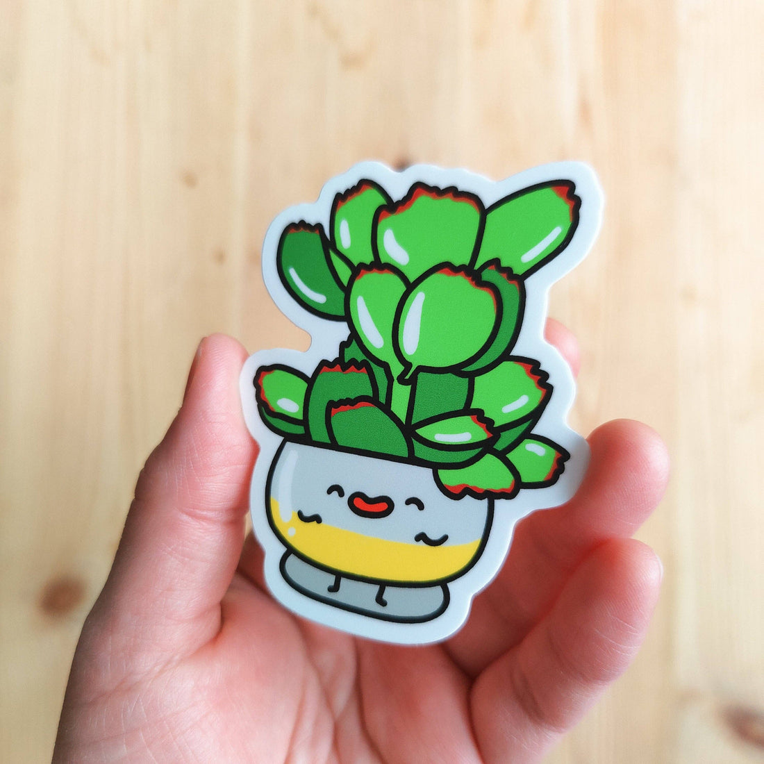 Bear Paw Succulent Plant Vinyl Sticker