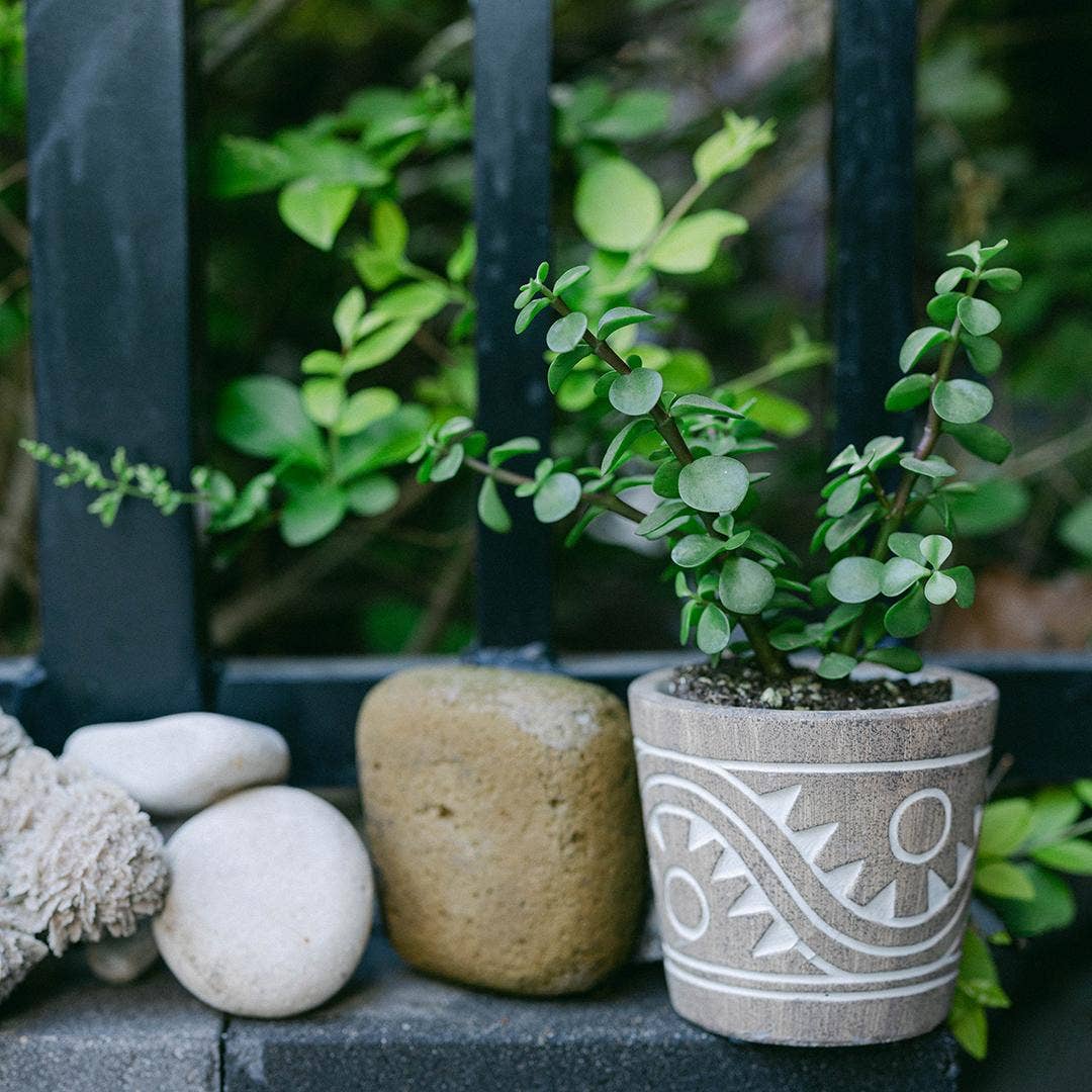 Cement Flower Pot, big