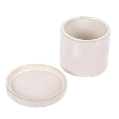 Truu Design Stylish Petra Ceramic Planter with Saucer: Classical