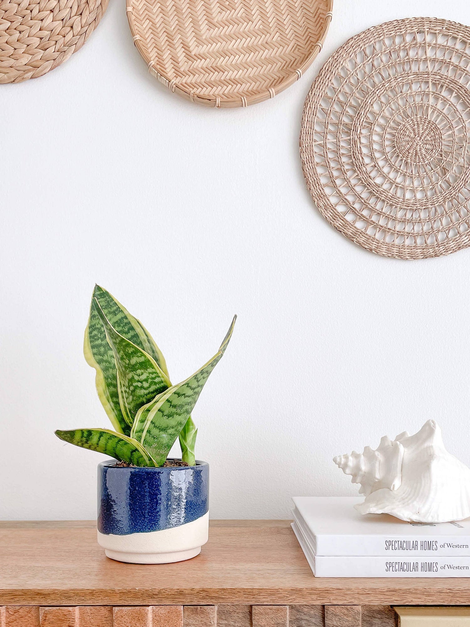 Azura Ceramic Planter Pots, Glossy Blue Color Planters: Medium 5&quot;