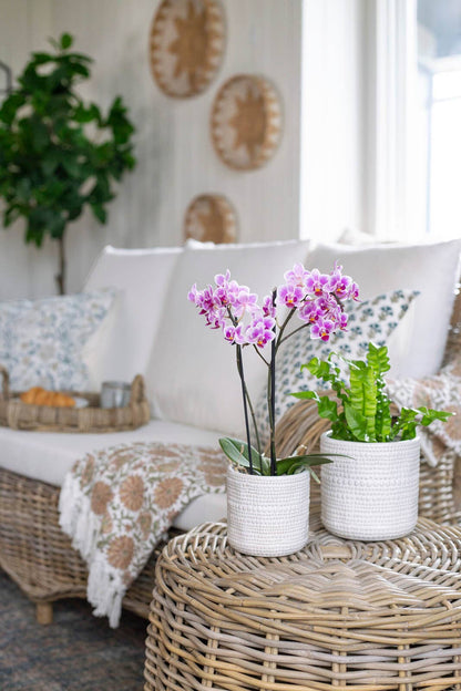 LARGE TEXTURED WHITE POT