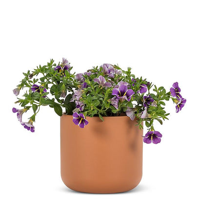 Md. Classic Planter-Terracotta-5&quot;H