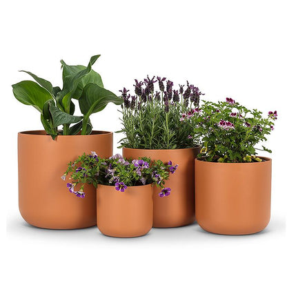 Md. Classic Planter-Terracotta-5&quot;H