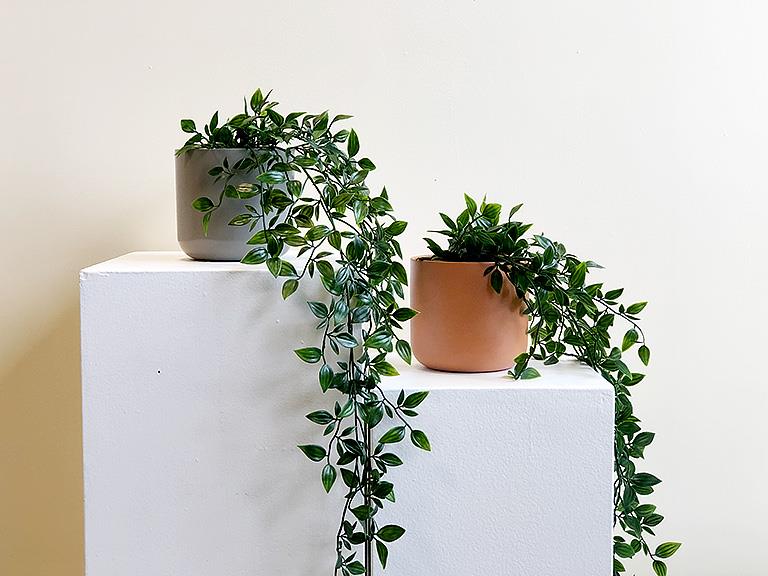 Md. Classic Planter-Terracotta-5&quot;H