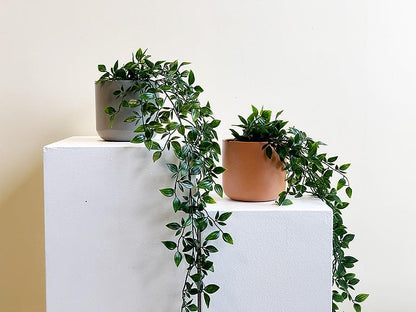Md. Classic Planter-Terracotta-5&quot;H