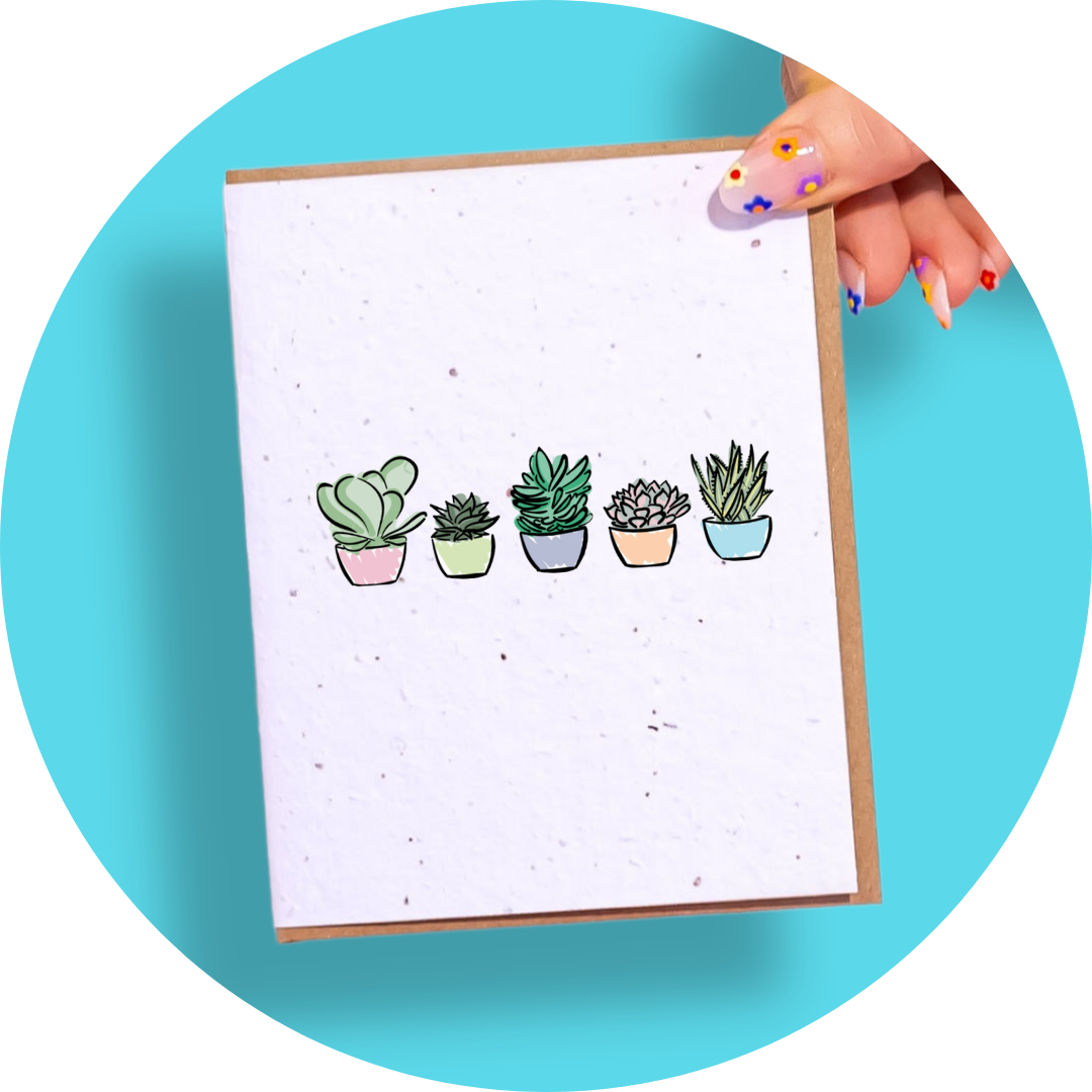 Succulents: Mini