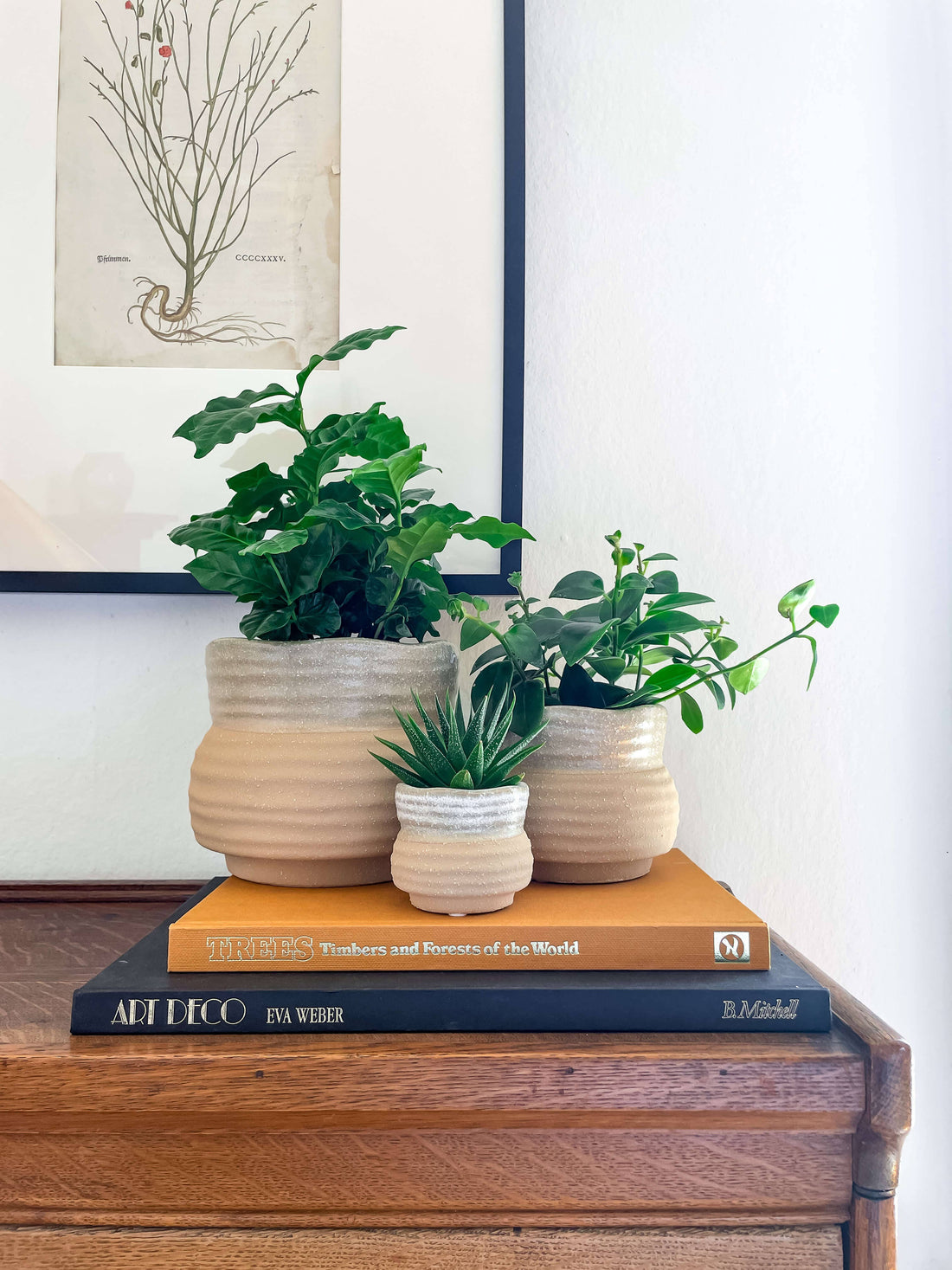 Marisol Planter – Speckled Ceramic Pot with Drainage: Medium 5&quot;
