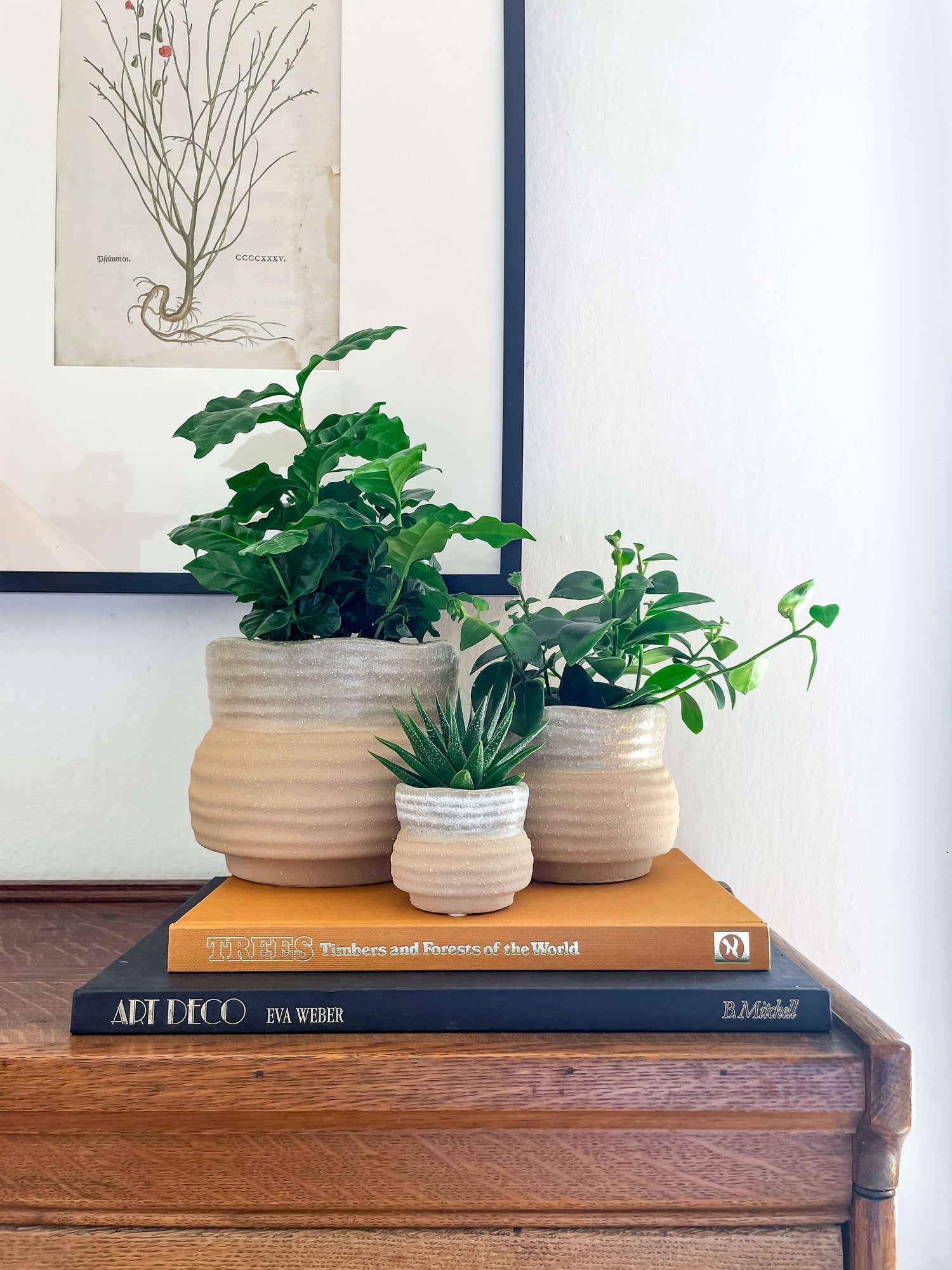 Marisol Planter – Speckled Ceramic Pot with Drainage: Medium 5&quot;