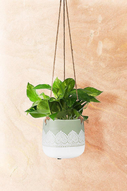 Lace Edge Hanging Planter