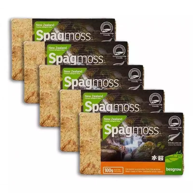 Spagmoss 100g