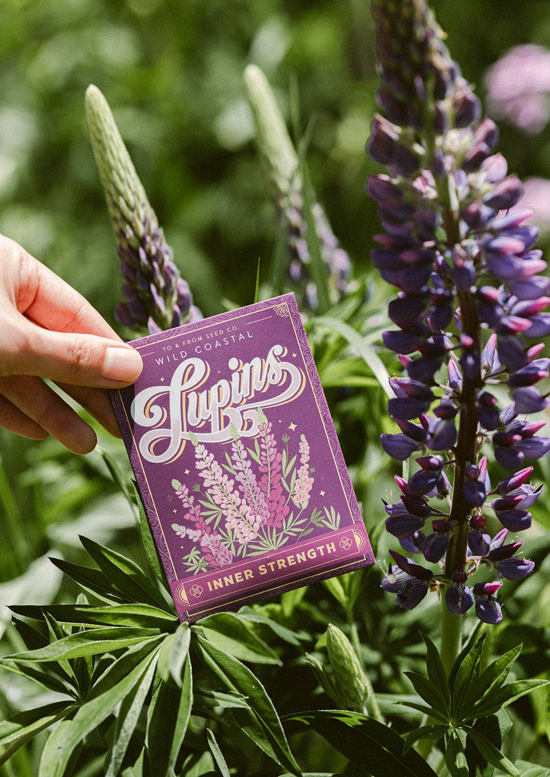 Seed Packet - Lupins (Inner Strength) - Gold Foil