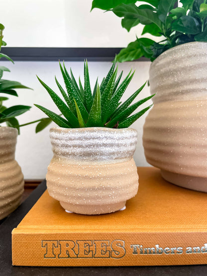 Marisol Planter – Speckled Ceramic Pot with Drainage: Medium 5&quot;