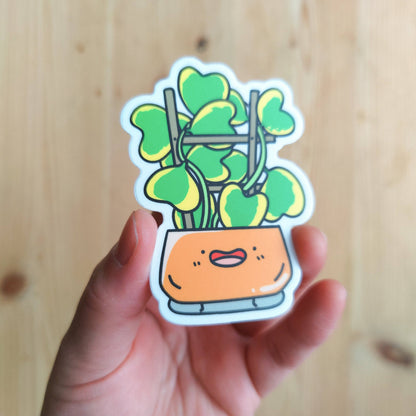 Variegated Hoya Kerrii Vinyl Sticker