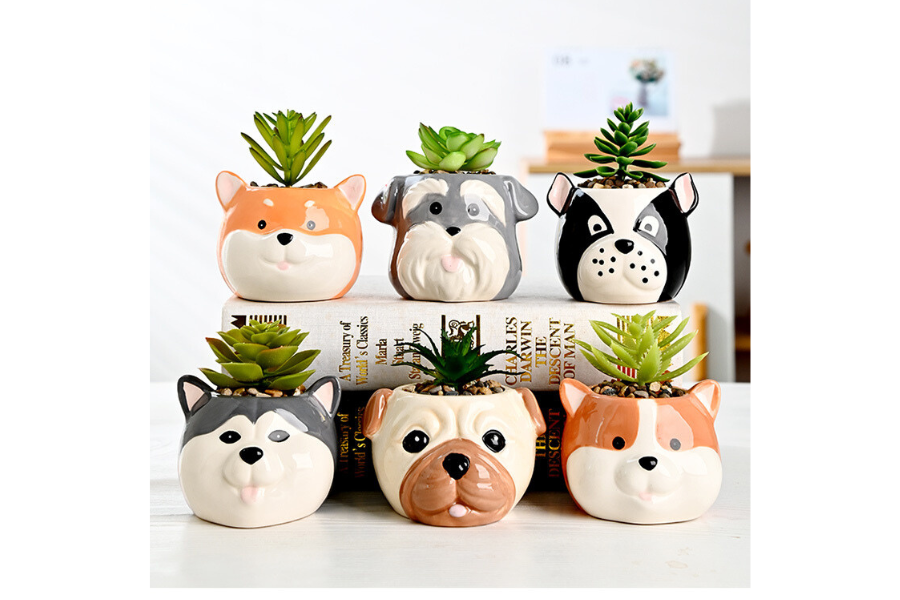 Puppy Set