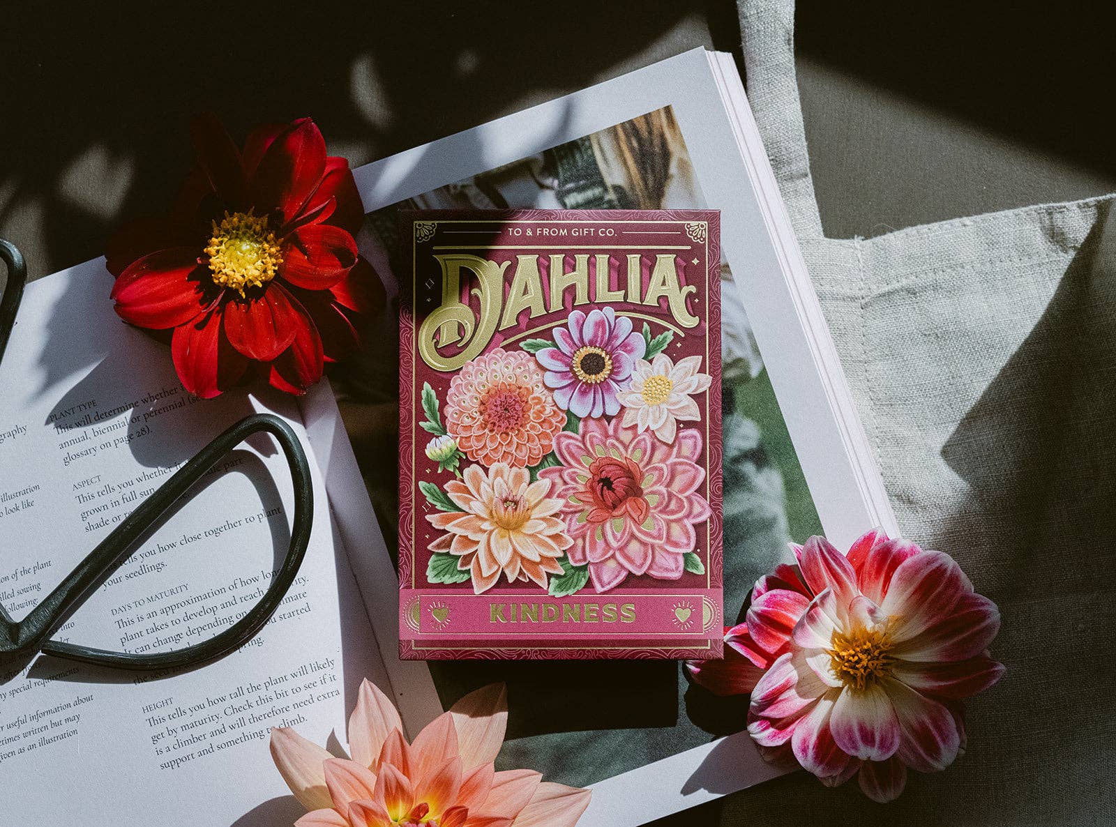 Seed Packet - Dahlia Flowers (Kindness) - Gold Foil