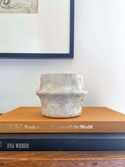 Solene Planter – Textured Ceramic Pot with Drainage: Medium 5.25&quot;