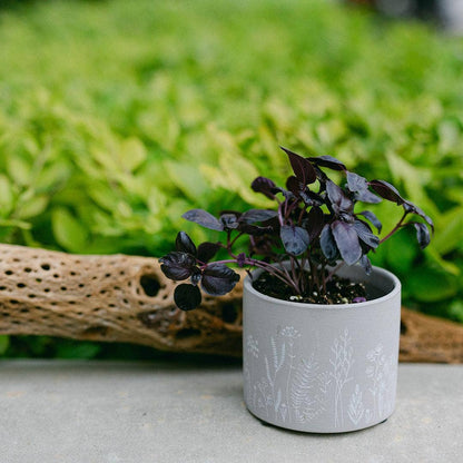 Terracotta Flower Pot, Set of 2