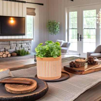 Truu Design Stylish Column Cement Planters 2.25"