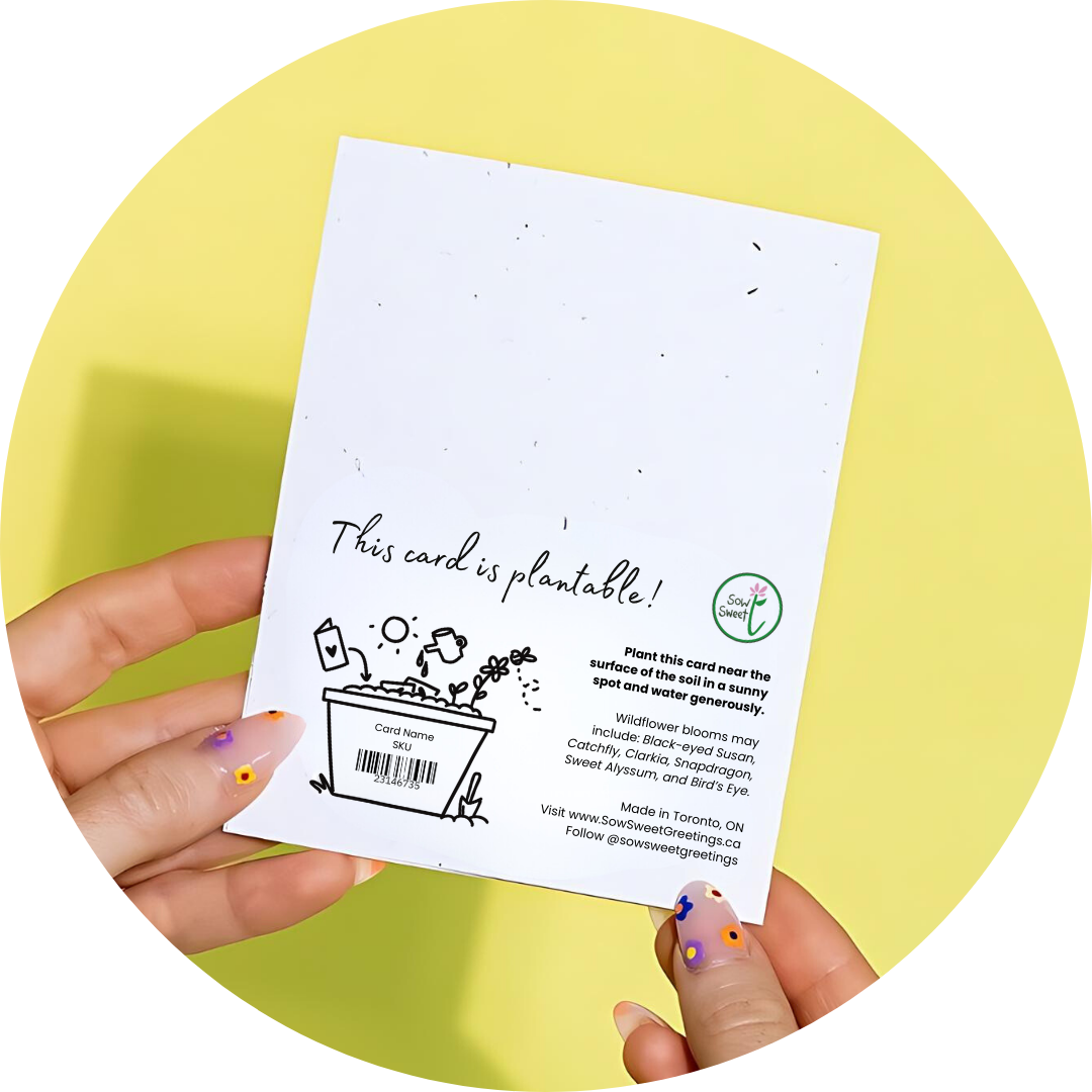 Fairy Happy Birthday: Mini
